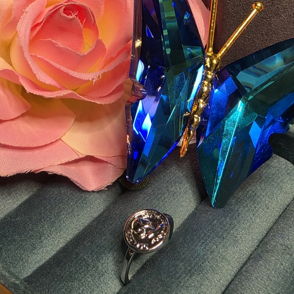 LotzaLuxBling Jewelry - Chic Silver Medallion Relief Face Ring 6.5 57LLB